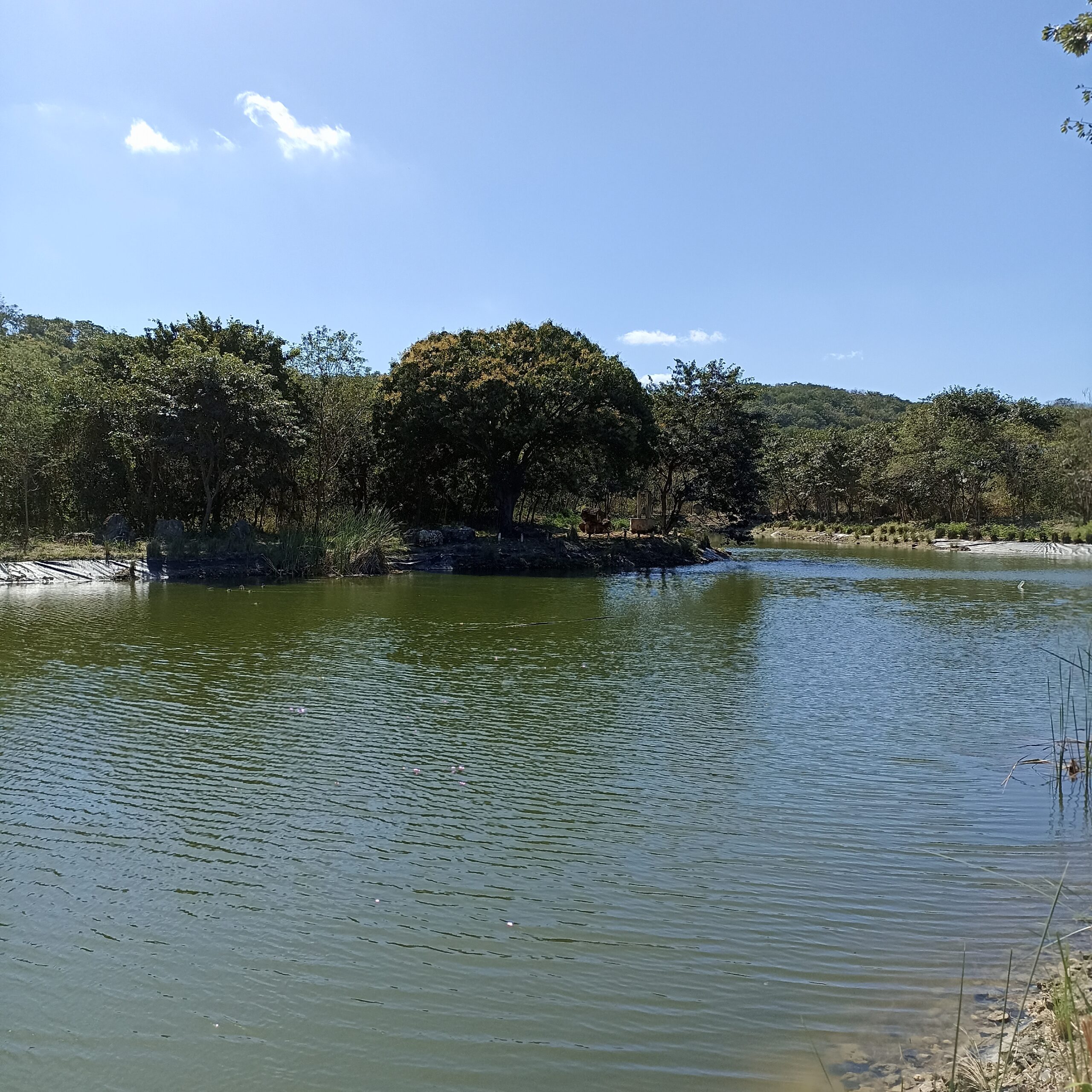 Proceso de obra – arquitectura Campeche Country Club (3)