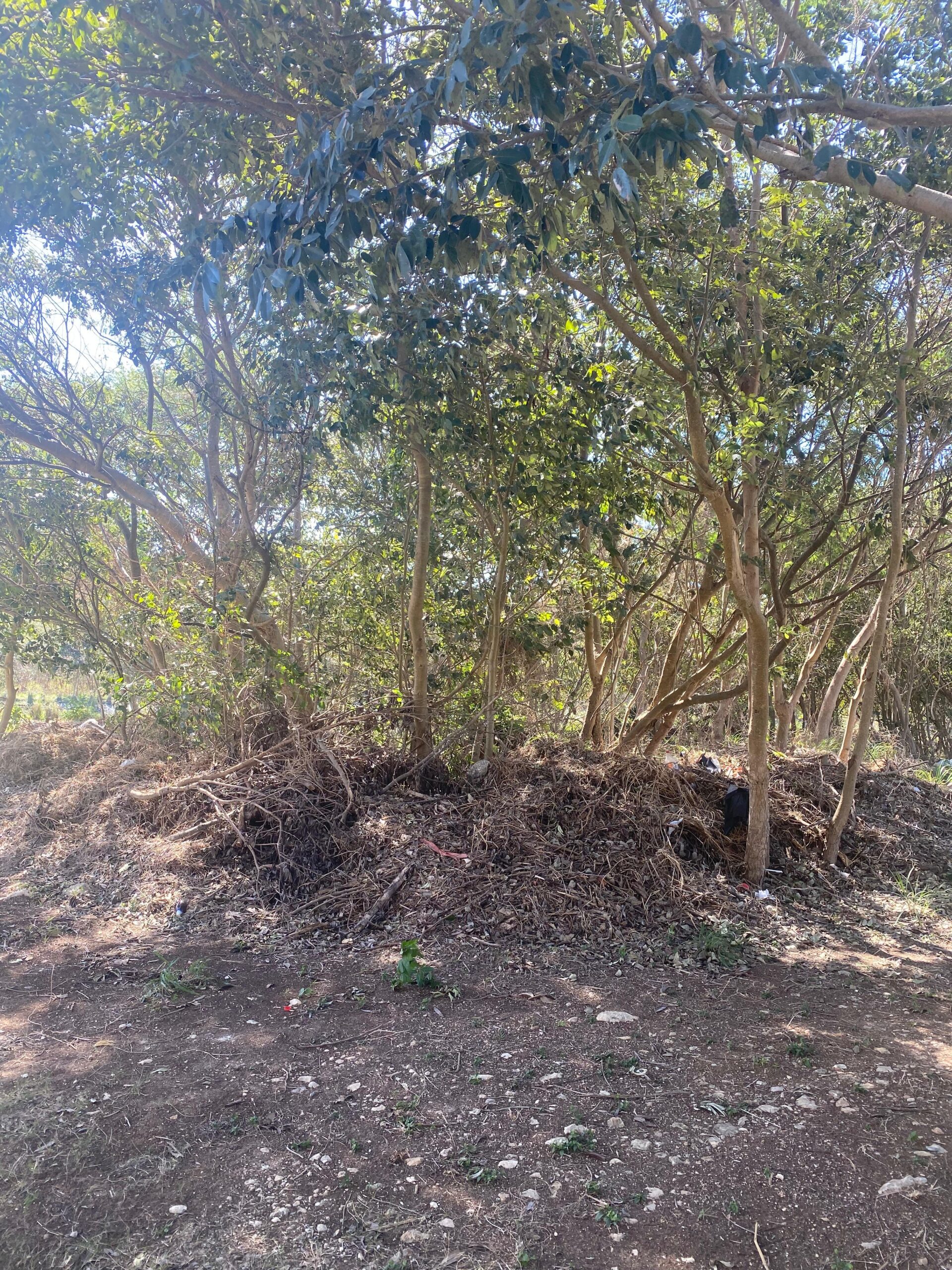 Proceso de obra – arquitectura Campeche Country Club (4