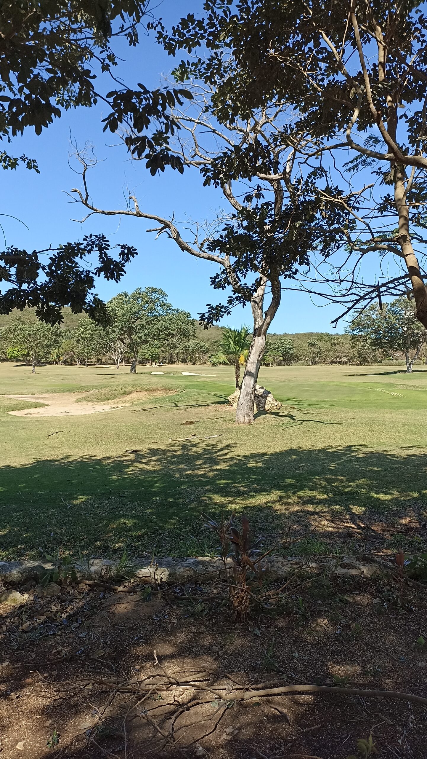 Proceso de obra – arquitectura Campeche Country Club (4)
