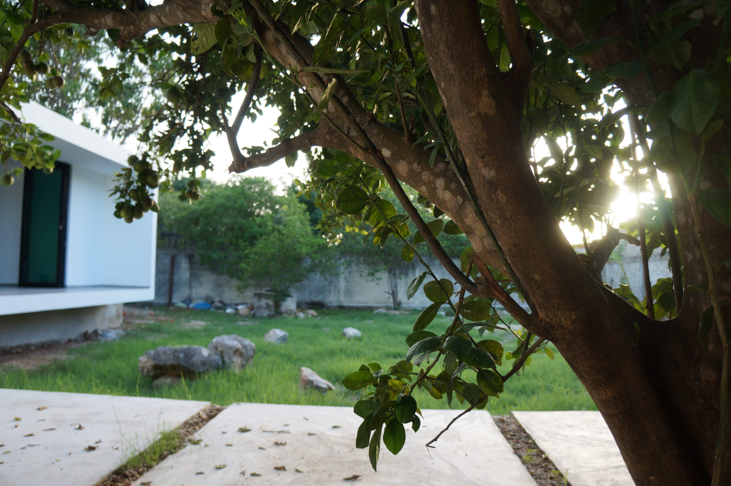 Proyectos arquitectonicos - roca firme - Merida, Yucatan (2) oficina arquitectura